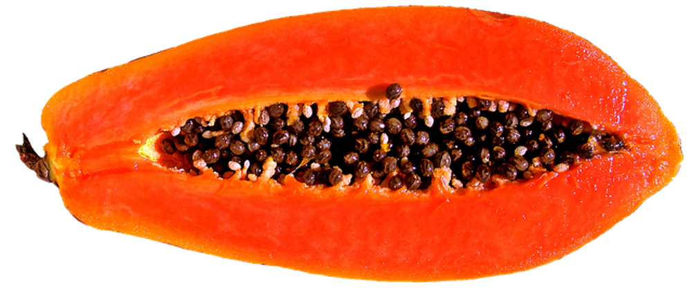 Papaya FT