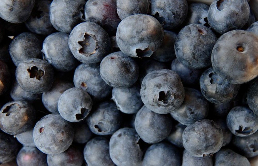 G - Blueberry Macchiato