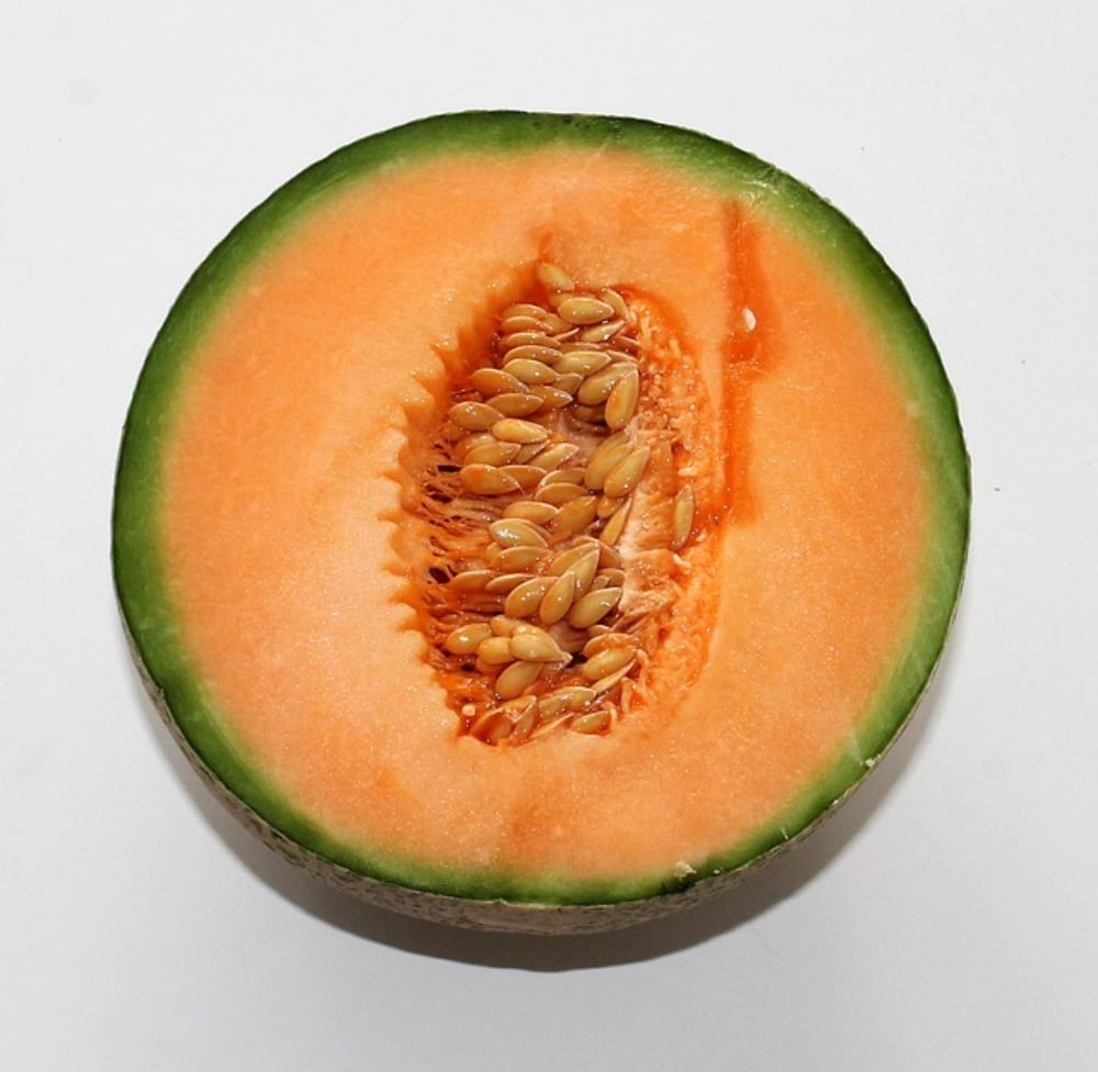 Melón S