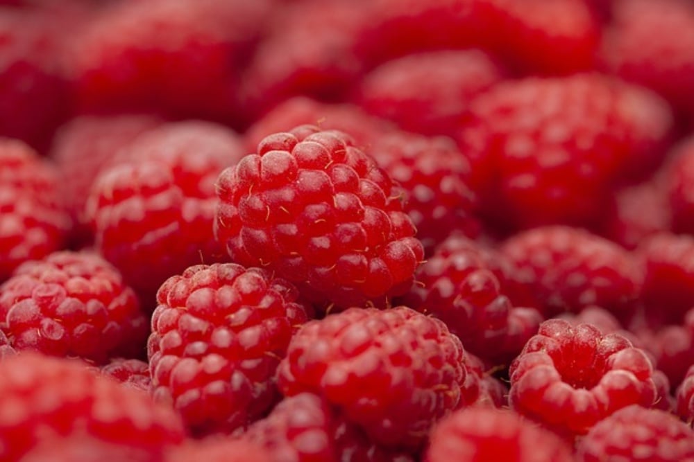 Smoothie Frambuesa
