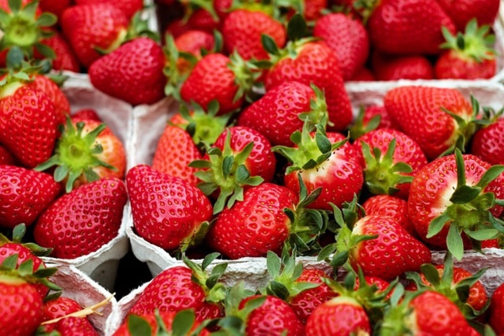 Smoothie Fresa