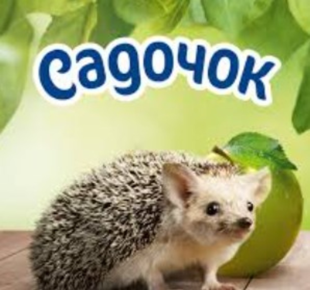 Сік "Садочок" 0,95л