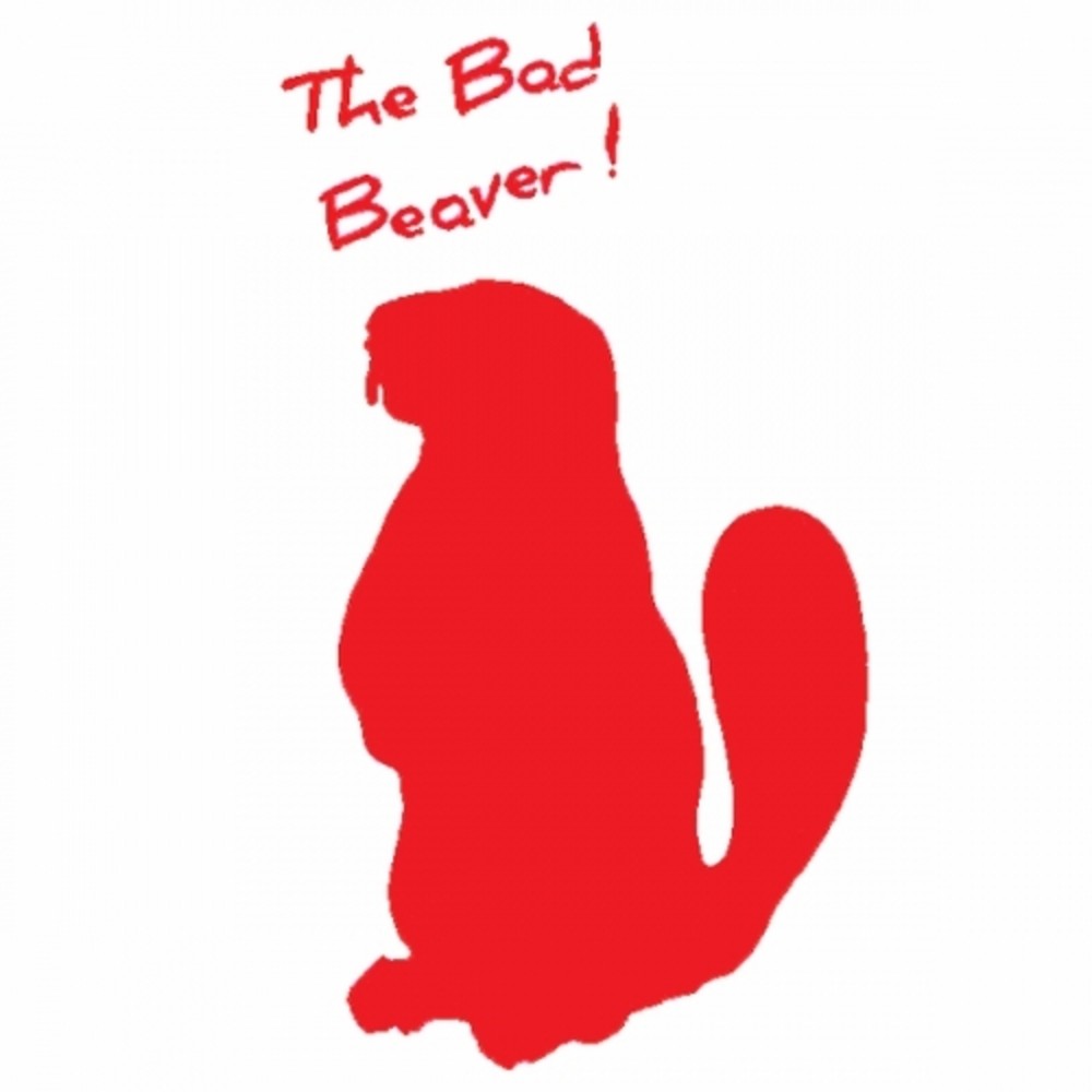 Пиво Bad Beaver! "Pinata" 0.4