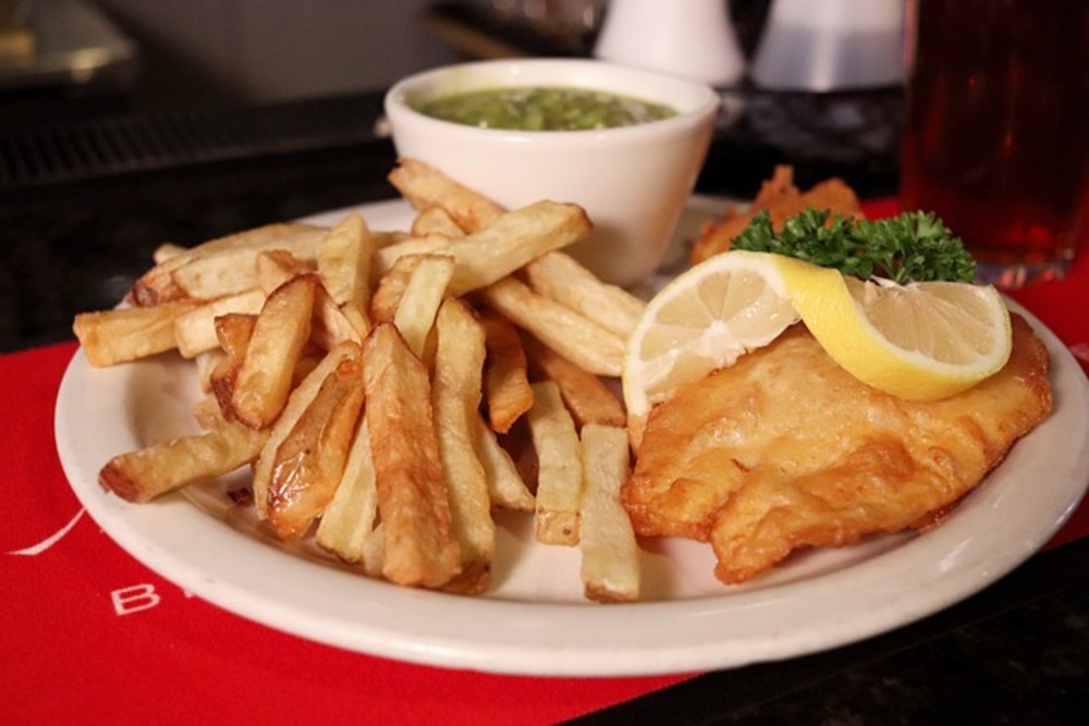 Fish plate