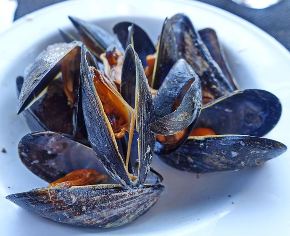 New Zealand mussels