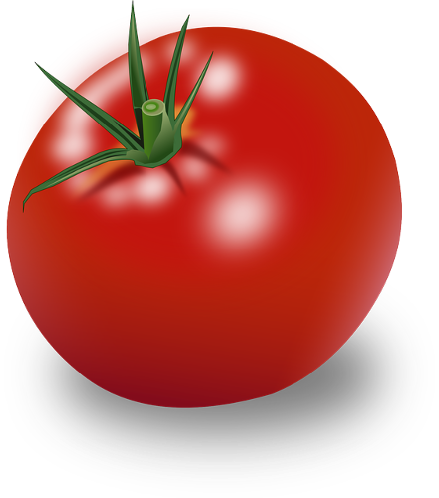 Pomidor