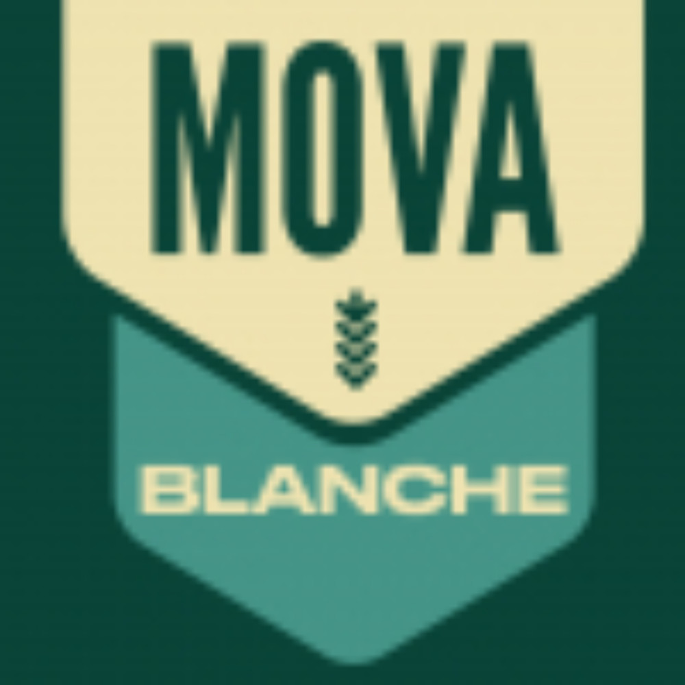 Пиво MOVA Blanche 0.33L