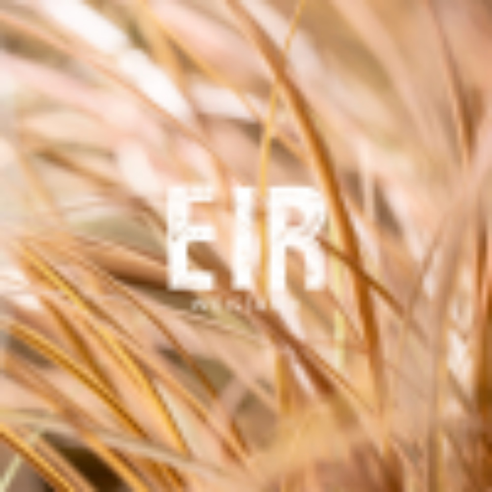 Пиво Rebrew EIR 0.33L