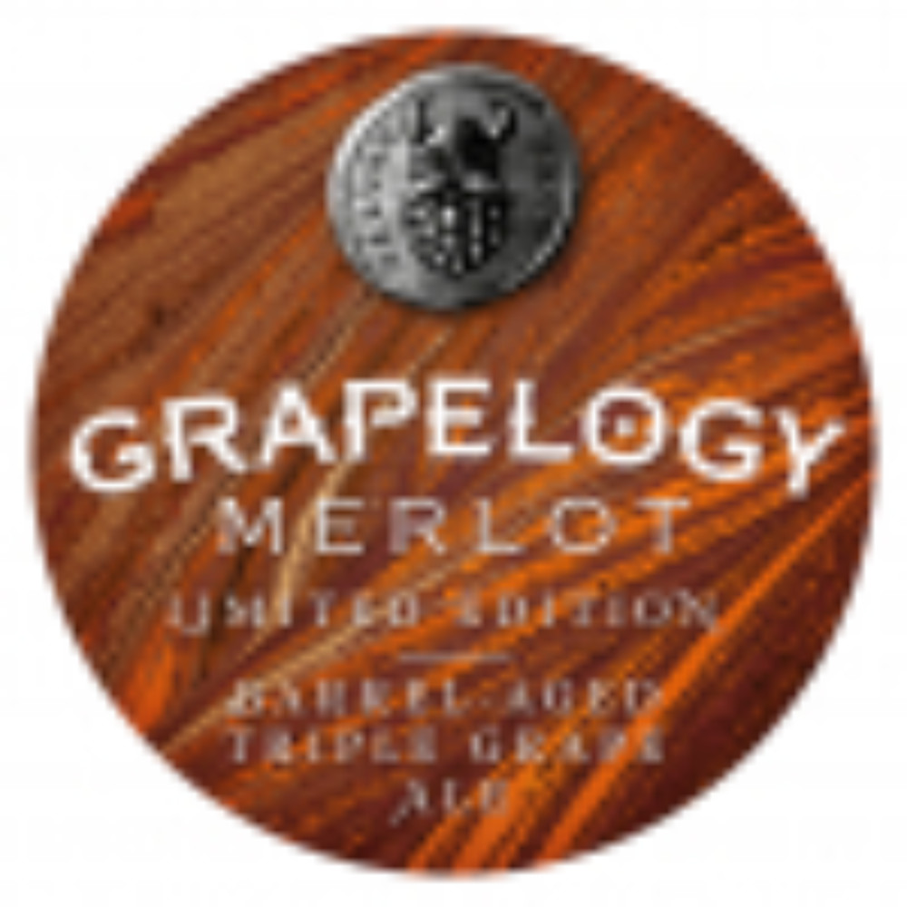 Пиво Varvar Grapelogy Merlot 0.375L
