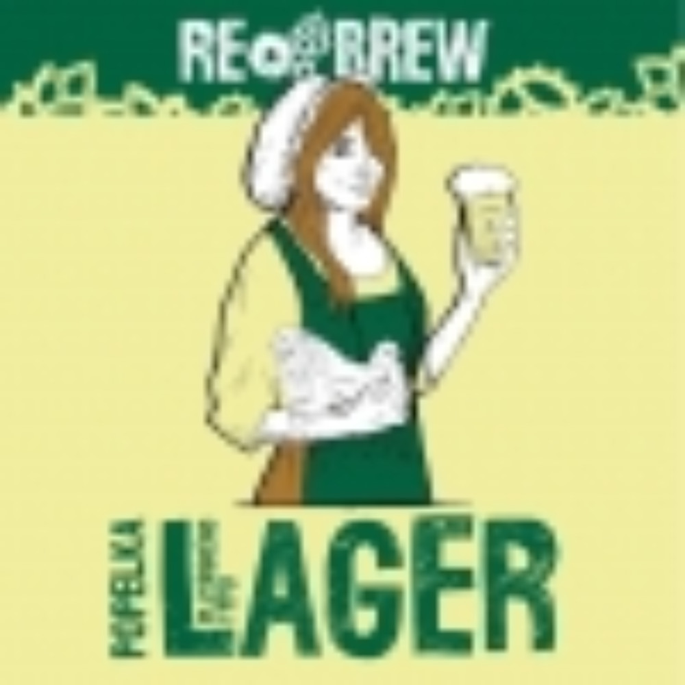 Пиво Rebrew Popelka Lager 0.5L