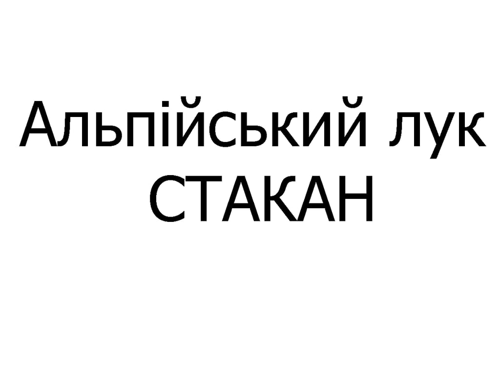 Альпійський лук стакан 340 мл