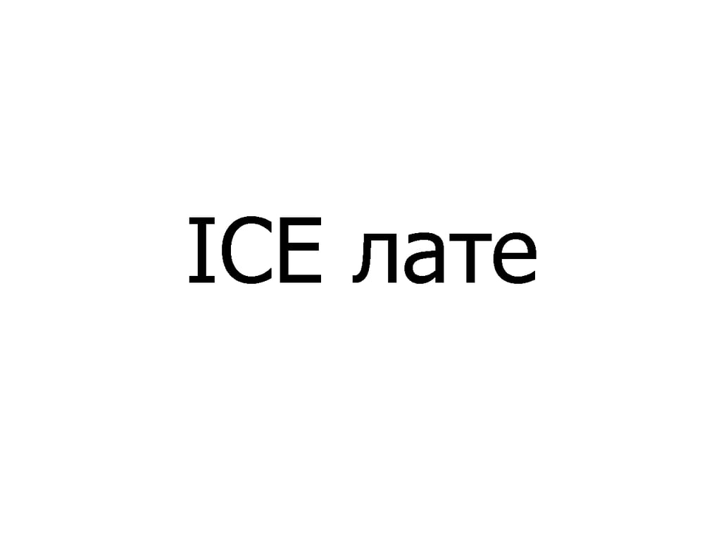 ICE лате, 300 мл