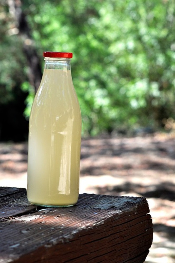 Ginger beer