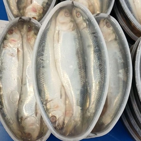 Оселедець Дунайський (Терещенко) 1.2кг