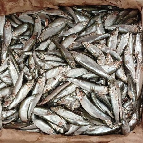 Кілька с/с (ящик) (Терещенко)  5кг