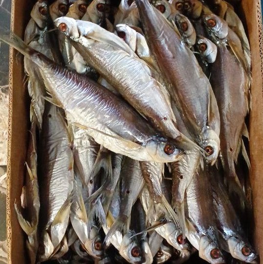 Чехонь VIP з ікрою (Луковський)