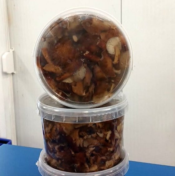 Опеньки (Удод), 2кг