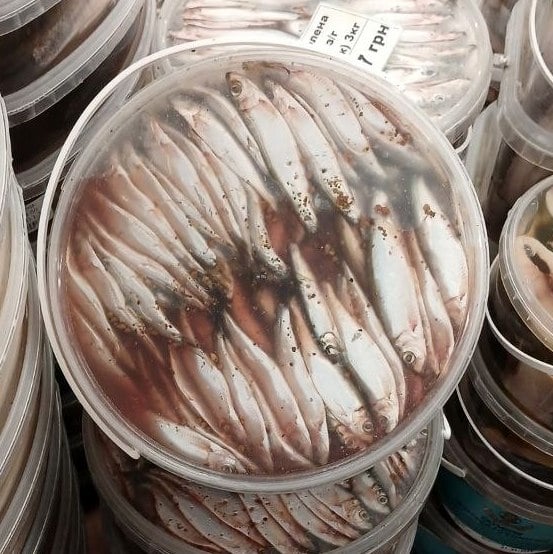 Кілька солена розсол з/г (Лазорчик) 3кг