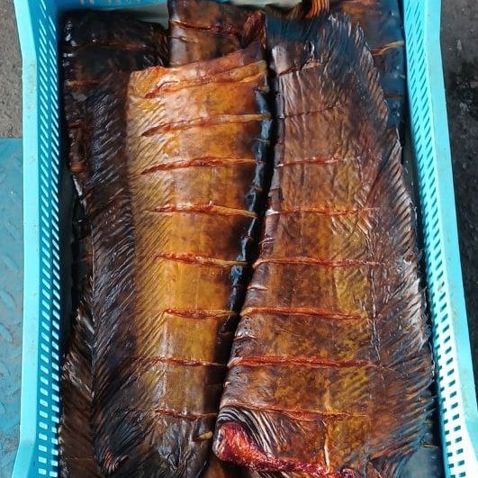 Сом х/к (хвостова частина), (Нікополь)