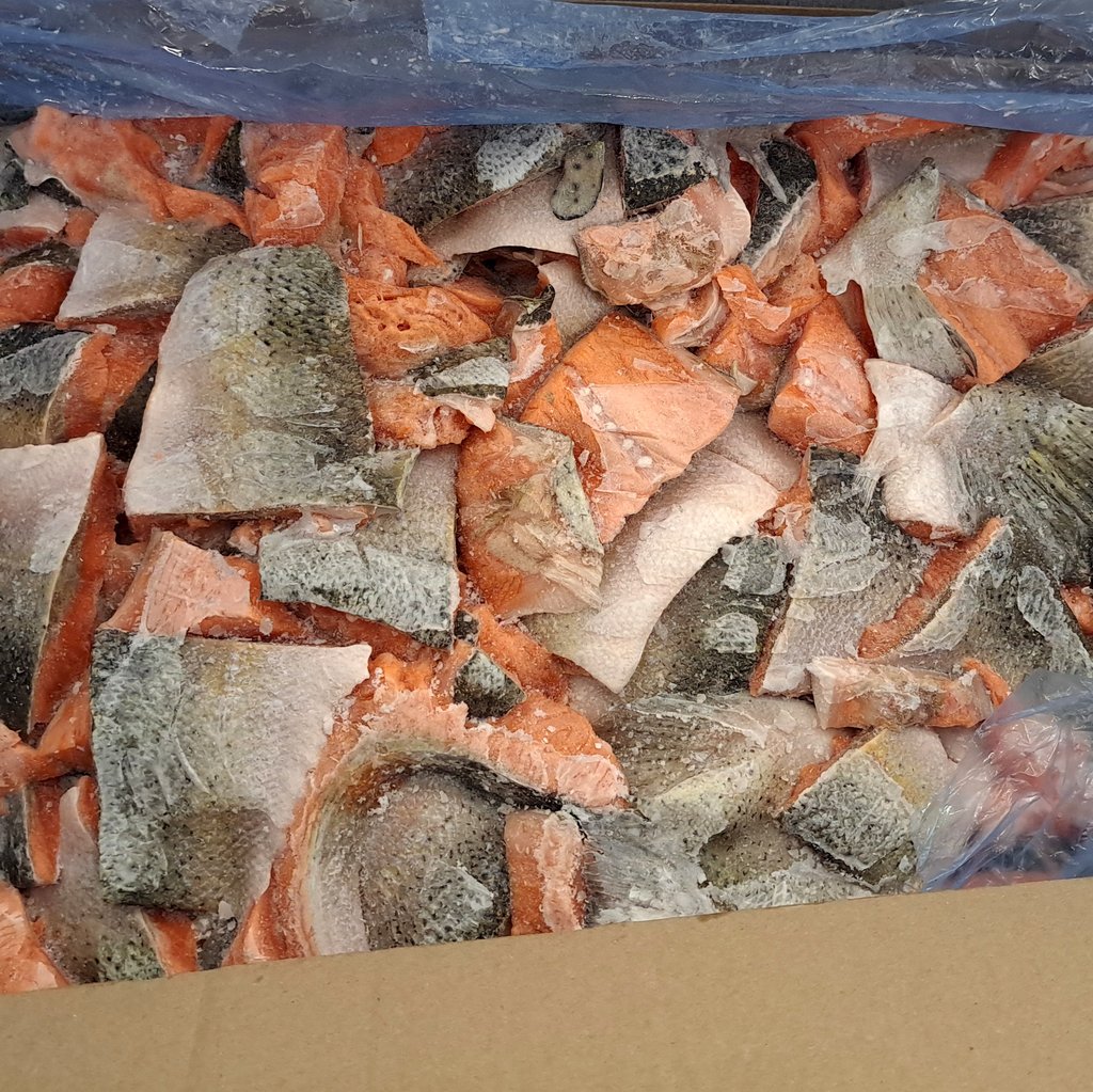 Куски форелі на шкурі морожені (ТІЛЬКИ ЯЩИК)