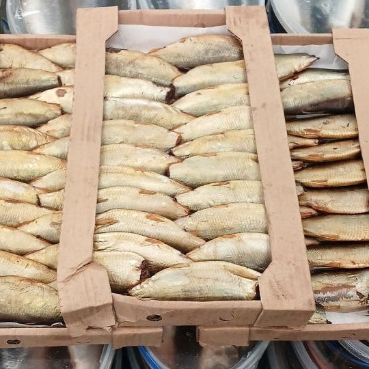 Оселедець тушка х/к б/г (Рибне свято, Мрія)