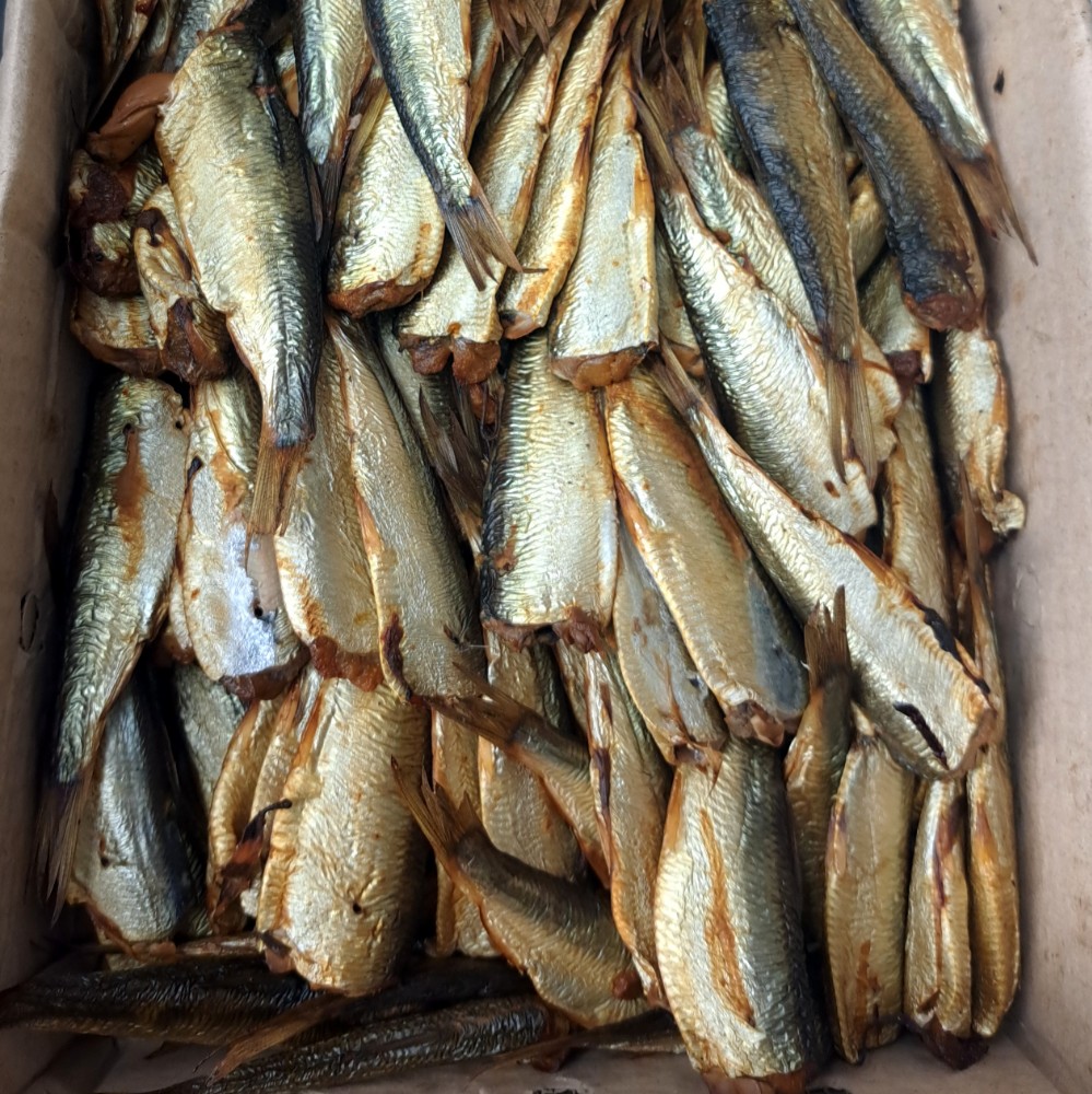 Салака х/к (Гольфстрім), 2.5кг