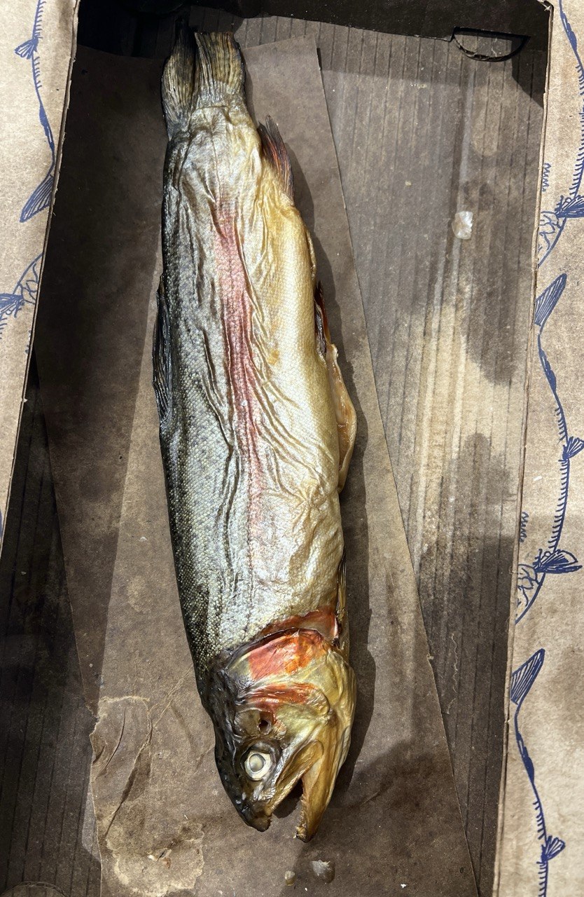 Форель з головою х/к (Арктика)