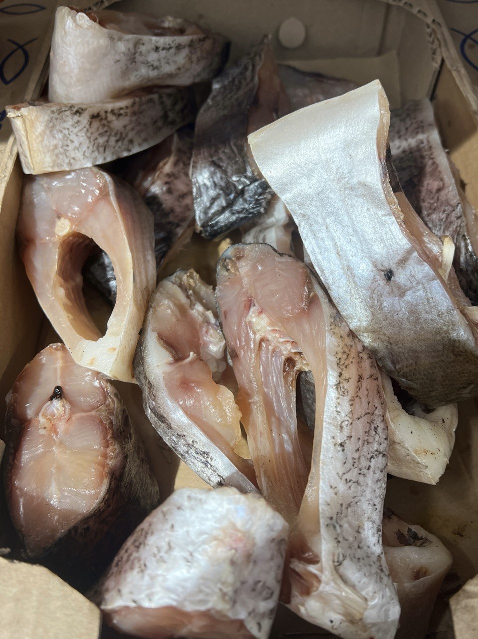 Стейк товстолоба в'ялений (Фіш Гуд, Терпай)