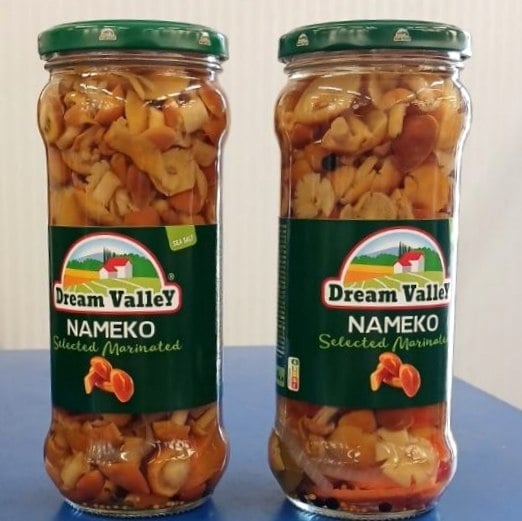 Dream Valley Опеньки (Чумаченко) 500г