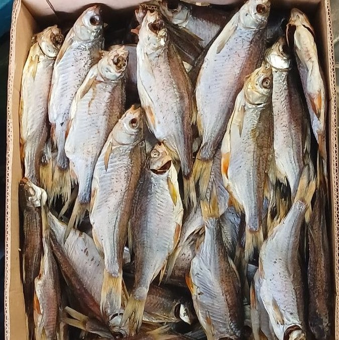 Плотва чищена з ікрою