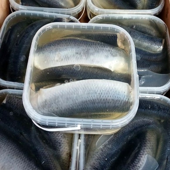 Оселедець с/с тушка (Рибне свято) 2кг