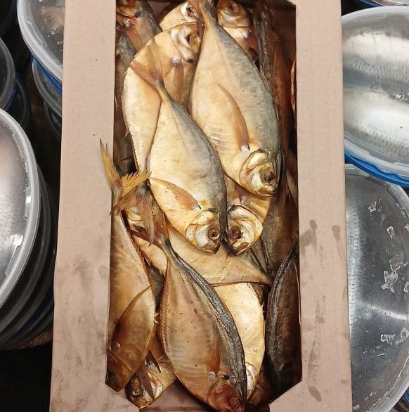 Лист х/к (Рибне свято)