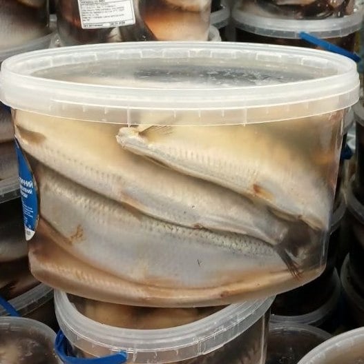 Оселедець солений б/г 350+ (Лазорчик) 5кг