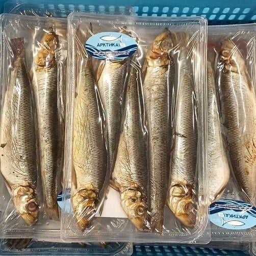 Салака крупна х/к в/у(Арктика)750г