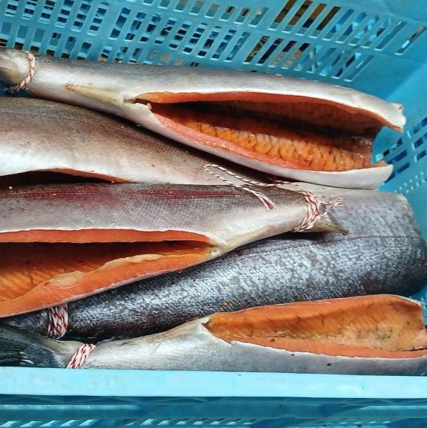 Форель провісна без живота (ЗП)