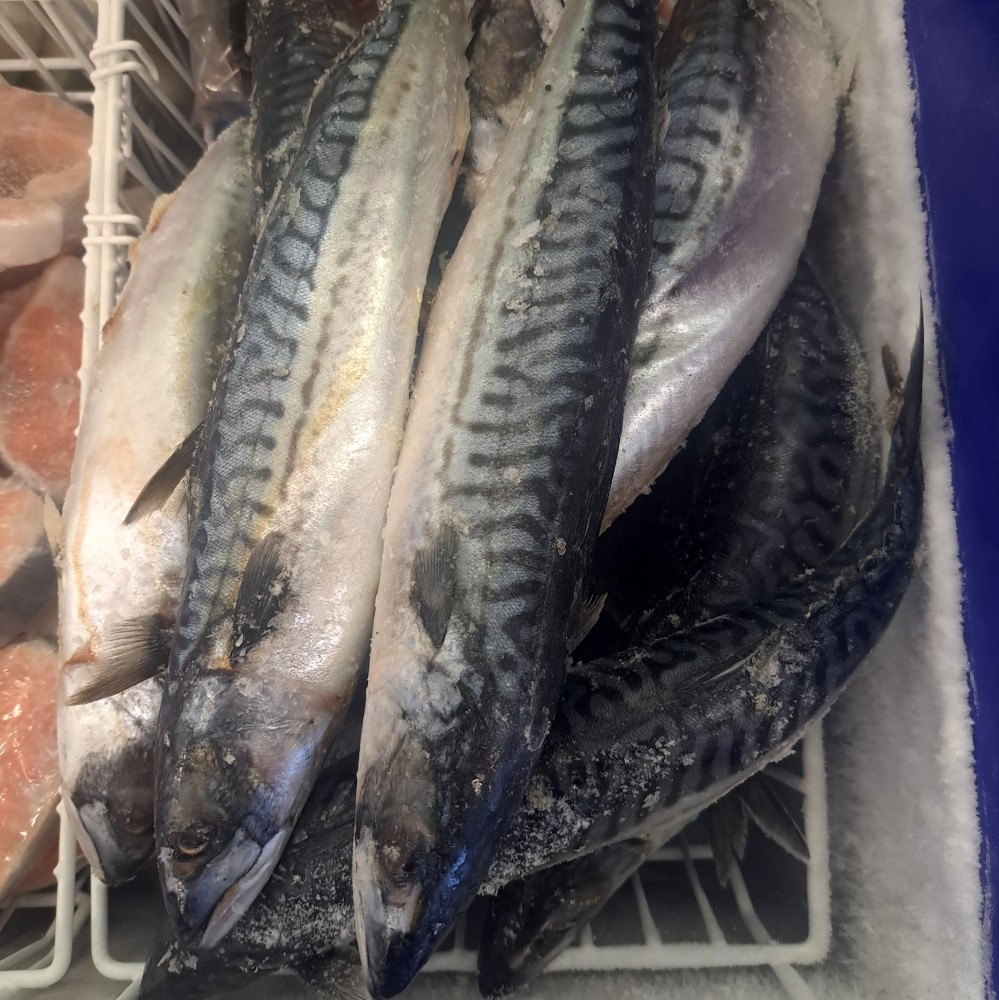 Скумбрія 550+ Лето, морожена