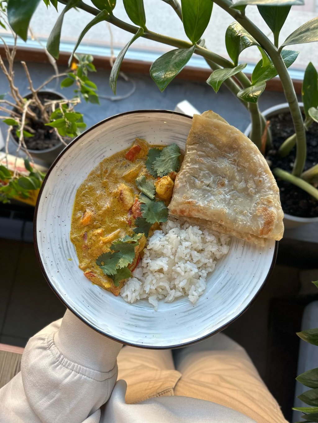 Карри с курицей, Рисом и лепешкой Роти