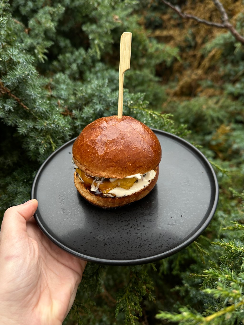 Бургер "Теріякі-Чіз"