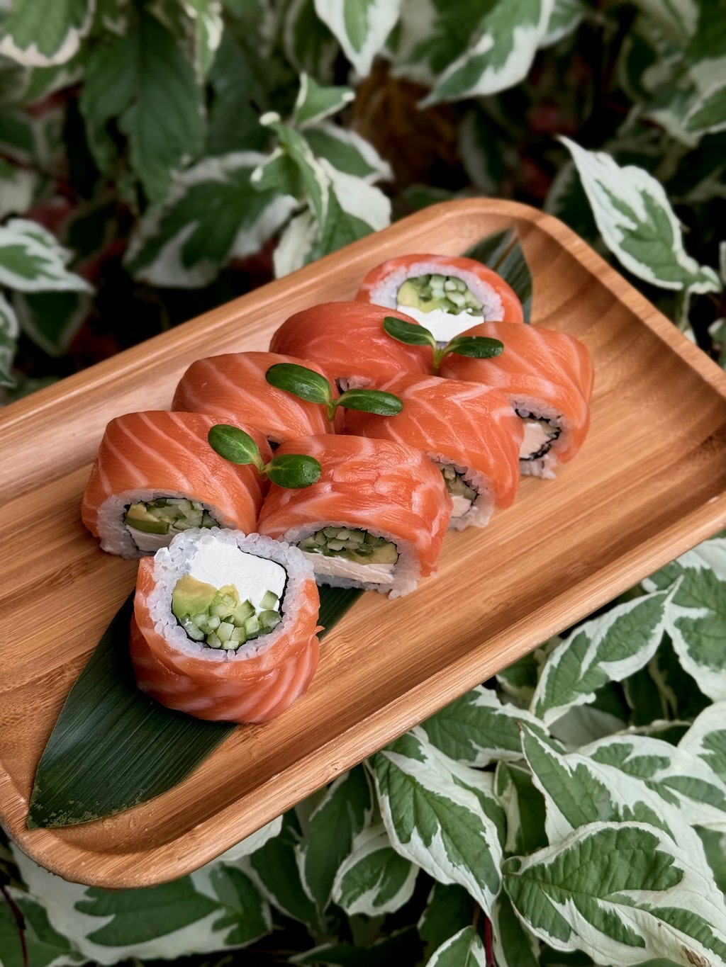 Пандадельфія зі Слабосоленим Лососем