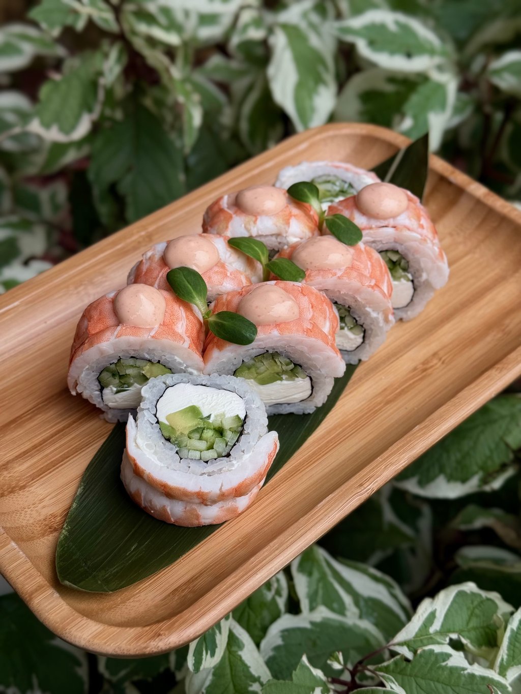 Пандадельфія з Креветкою