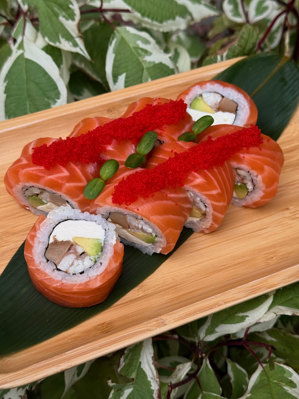 Червоний Дракон Панди