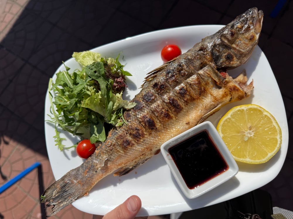 Сібас на грилі 