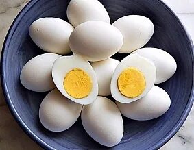 EGG/ ЯЙЦО