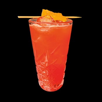BRAZILLIAN RUM PUNCH
