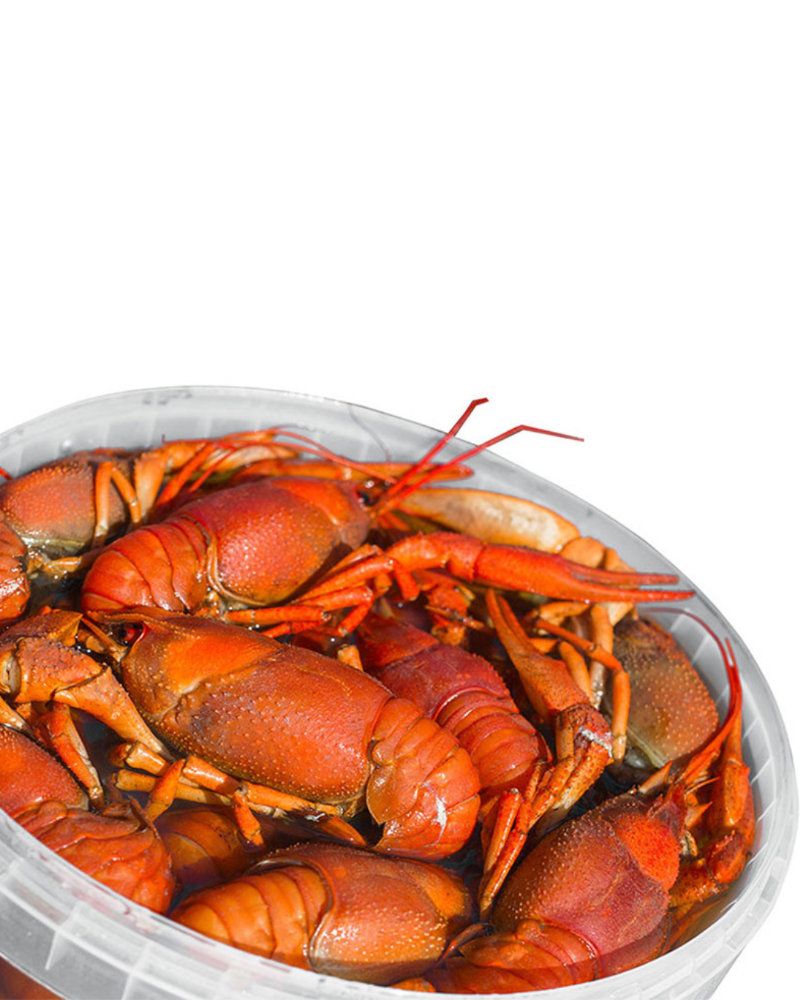 Раки Том Ям