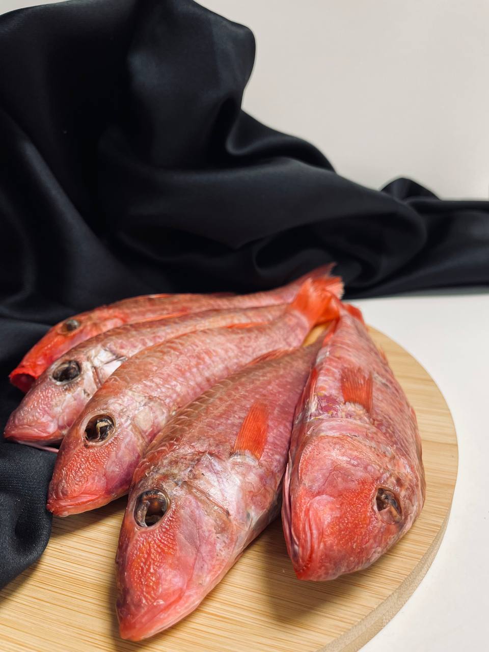 Барабулька провісна