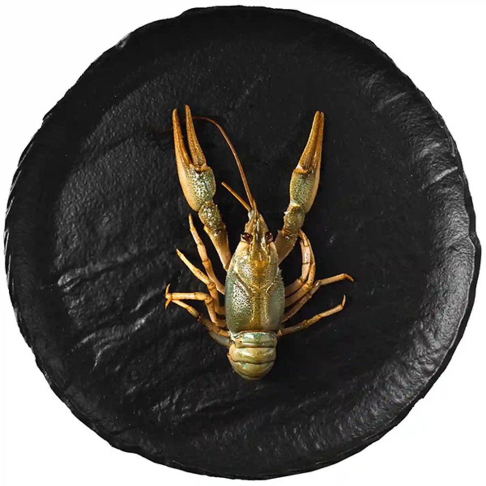 Живі раки 40+