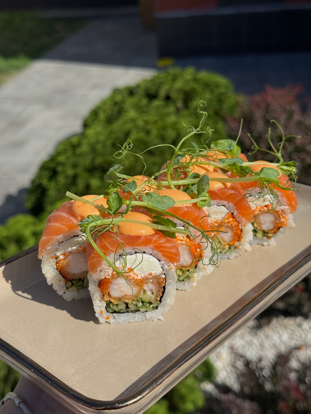 Кораловий дракон