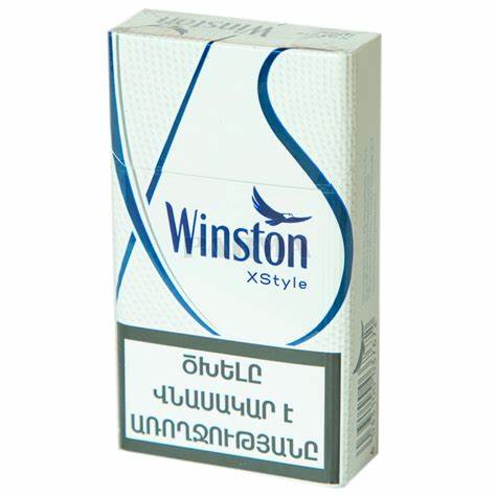 Winston x style