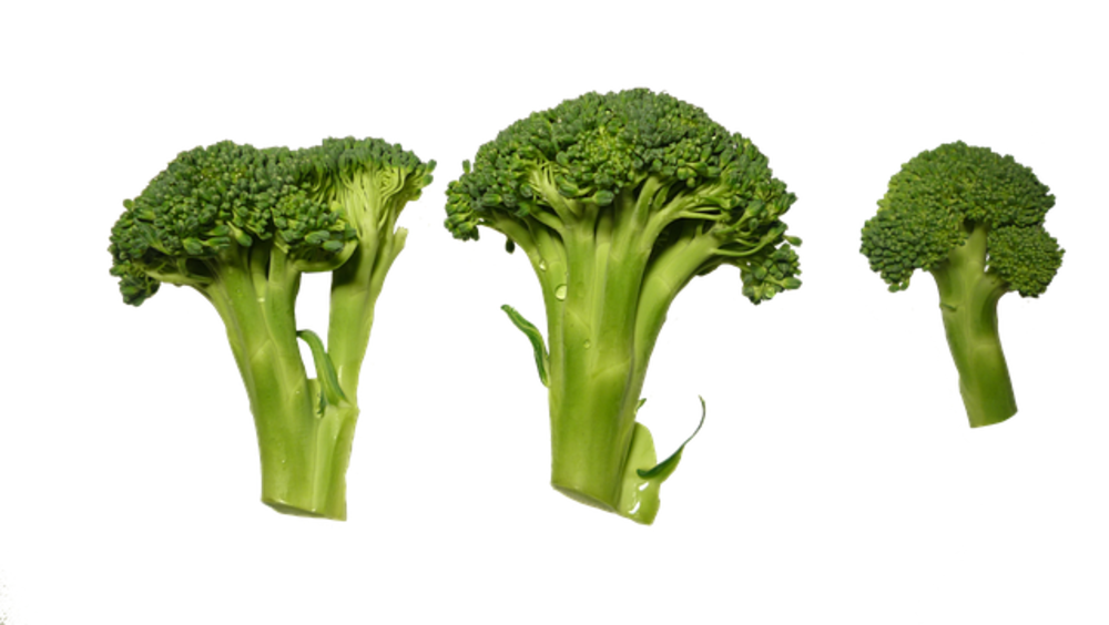 "Steamed Broccoli